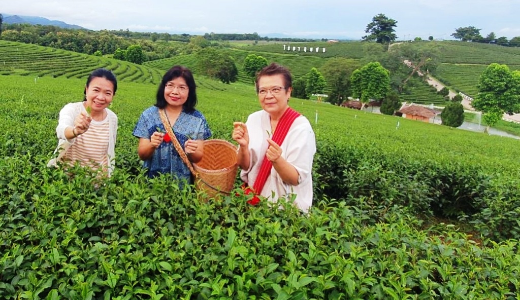 "กรมเจรจา" มั่นใจเชียงรายชาไทยไปได้ไกลเร่งใช้เอฟทีเอ