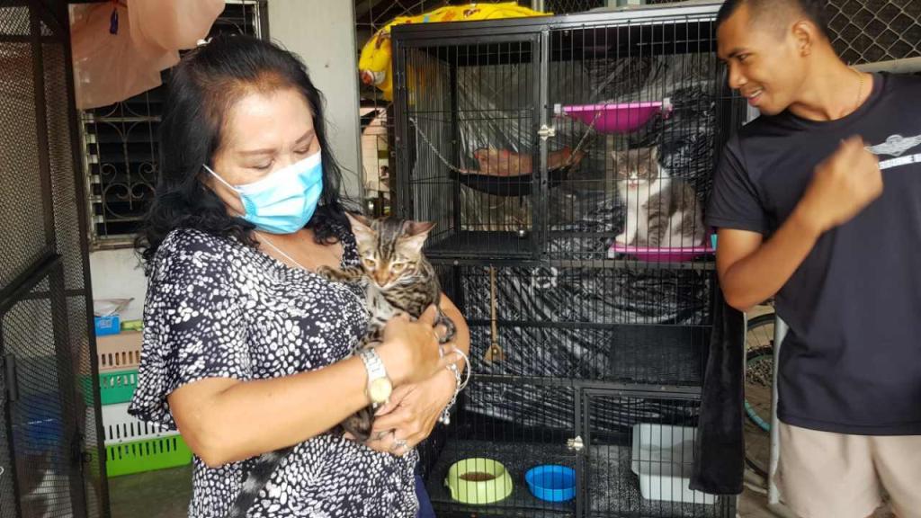 ตำรวจไทยยึดแมว 6 ตัวมูลค่าหลายพันดอลลาร์ในคดียาเสพติด