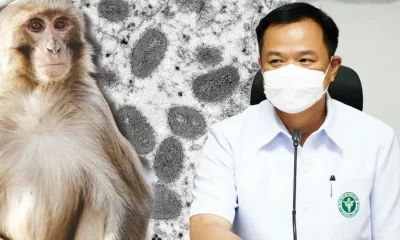 ฝีดาษลิง: โรคฝีลิงในจังหวัดภูเก็ต 3 รายในประเทศไทย
