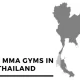 ค่าย/gym MMA ที่ดีที่สุดของประเทศไทย (ราคา ที่พัก รถโค้ช)