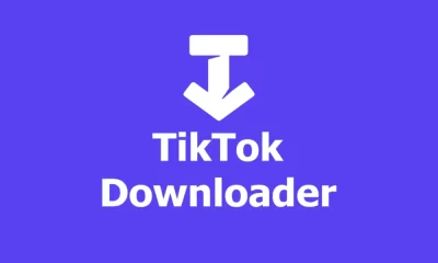 SSSTikTok - TikTok Downloader, ดาวน์โหลดวิดีโอ Tiktok แบบไม่มีลายน้ำ