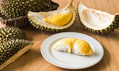 10 best durian buffets in Thailand