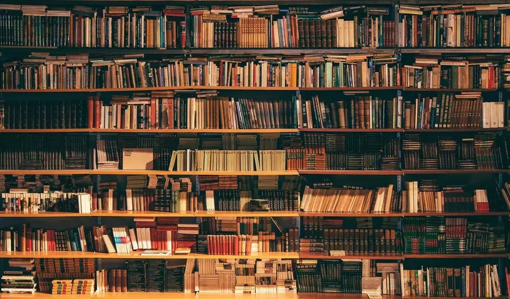 คู่มือขั้นสูงสำหรับห้องสมุด: ขุมสมบัติแห่งความรู้และแรงบันดาลใจ