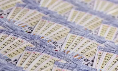 Lotto Craze: ชุมชนลอตเตอรีไทยสำรวจเบาะแสแจ็กพอตที่ไม่ธรรมดา