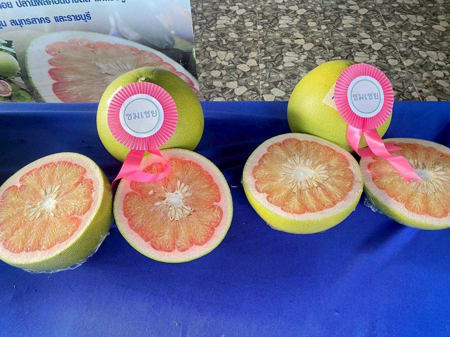 ส้มโอเวียงแก่น” ในจังหวัดเชียงรายได้รับสถานะ GI ใหม่