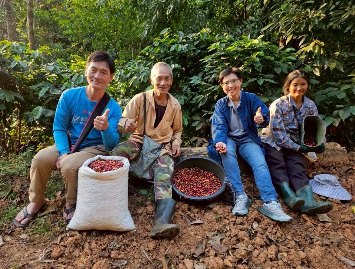 ผู้บริโภคกาแฟออร์แกนิก MiVana ในจังหวัดเชียงรายร่วมปลูกต้นไม้กว่า 40,000 ต้น