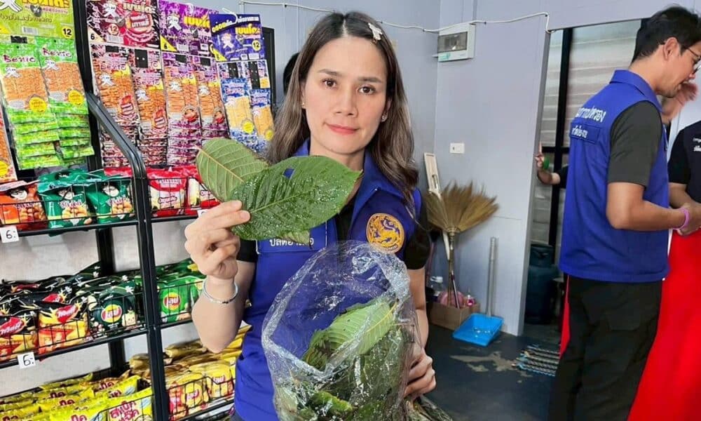องชำแห่งหนึ่งในจังหวัดเชียงรายถูกเจ้าหน้าที่บุกตรวจค้น หลังมีผู้ร้องเรียนว่าจำหน่ายน้ำกระท่อมให้แก่นักเรียน