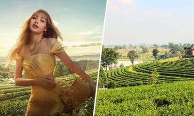 ปักหมุดตามรอย “ลิซ่า” เที่ยวไร่ชาฉุยฟง จ.เชียงราย ภาพล่าสุดละมุนมาก