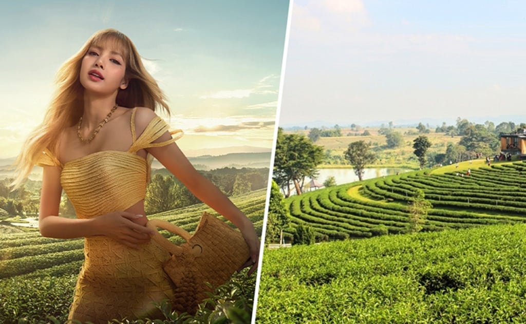 ปักหมุดตามรอย “ลิซ่า” เที่ยวไร่ชาฉุยฟง จ.เชียงราย ภาพล่าสุดละมุนมาก