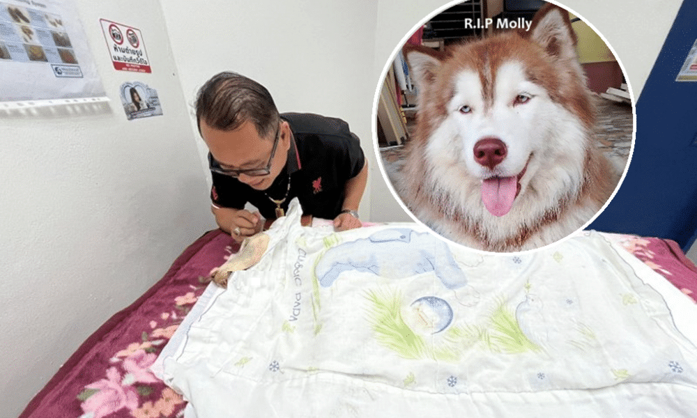 มอลลี่ ไซบีเรียนฮัสกี้จากไปอย่างสงบ หลังสู้จนถึงที่สุด ท่ามกลางพระมหากรุณาธิคุณจากในหลวง