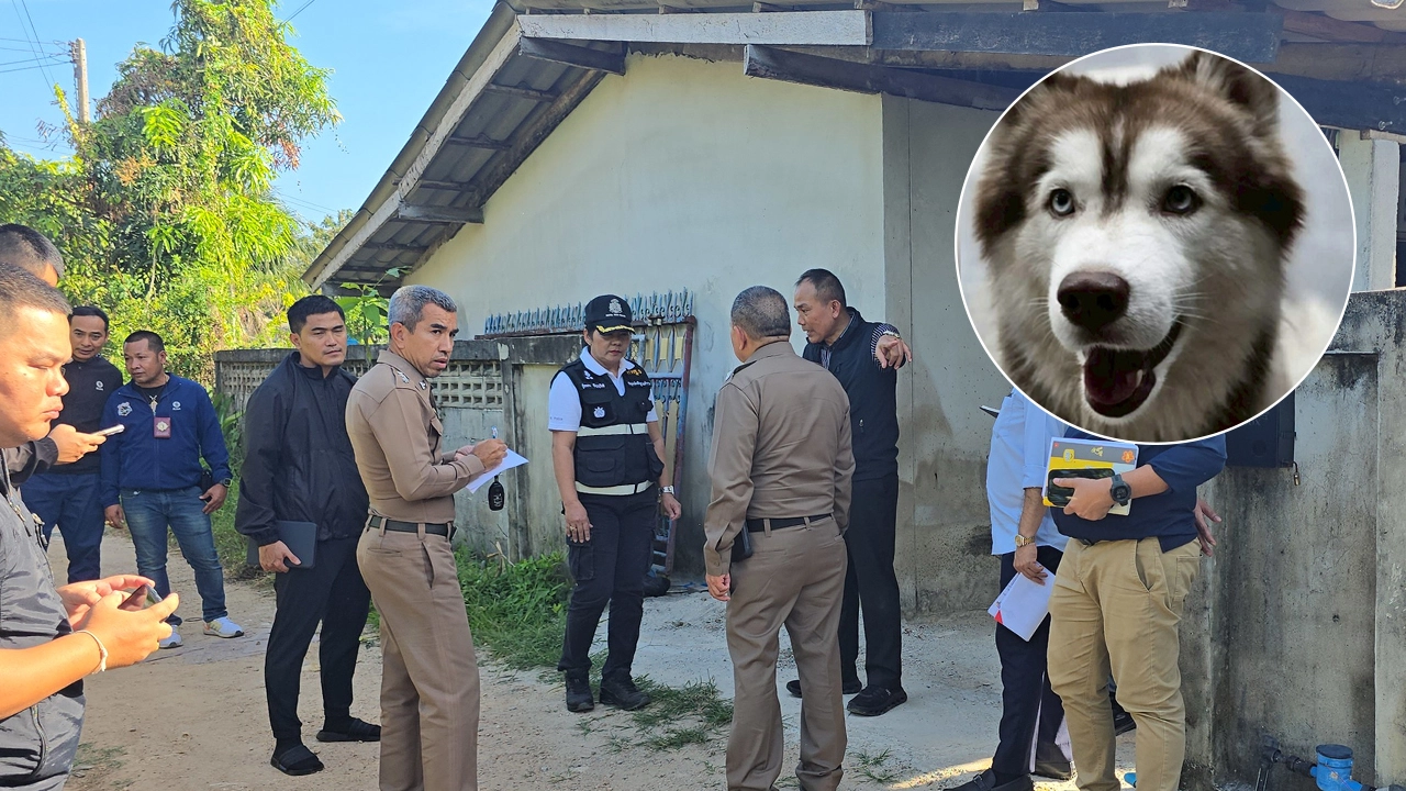 ตำรวจกำลังตามล่าหาฆาตกรที่ฆ่าสุนัขไซบีเรียนฮัสกี้ชื่อมอลลี่ "รางวัลนำจับเพิ่มเป็น 87,000 บาท"