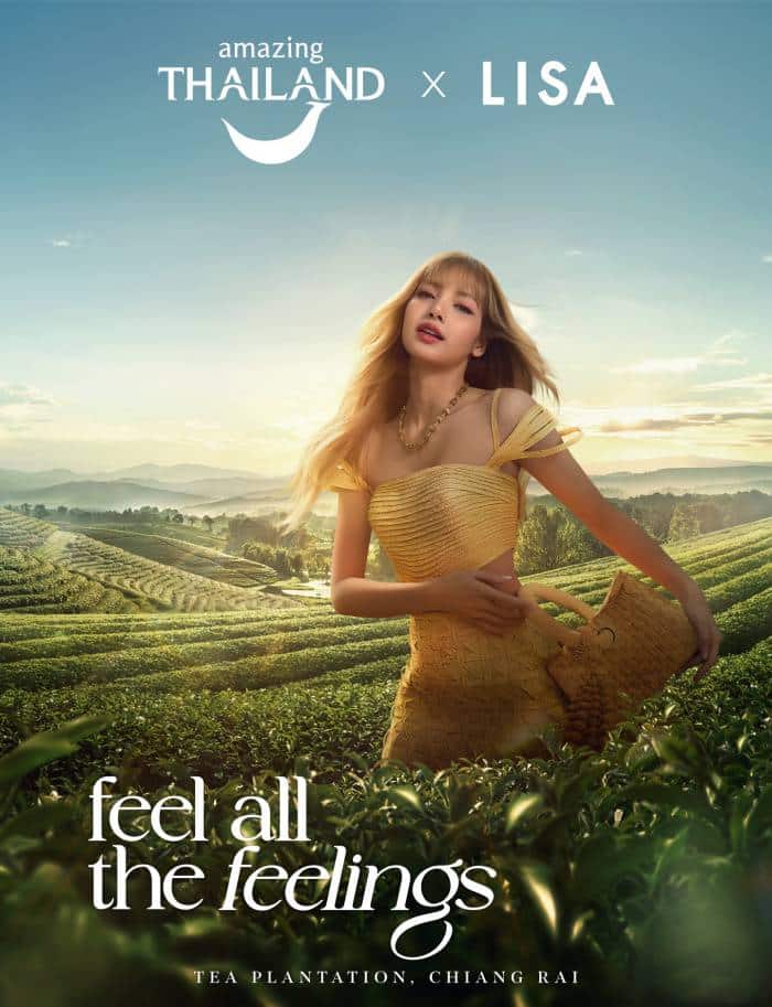 ปักหมุดตามรอย “ลิซ่า” เที่ยวไร่ชาฉุยฟง จ.เชียงราย ภาพล่าสุดละมุนมาก
