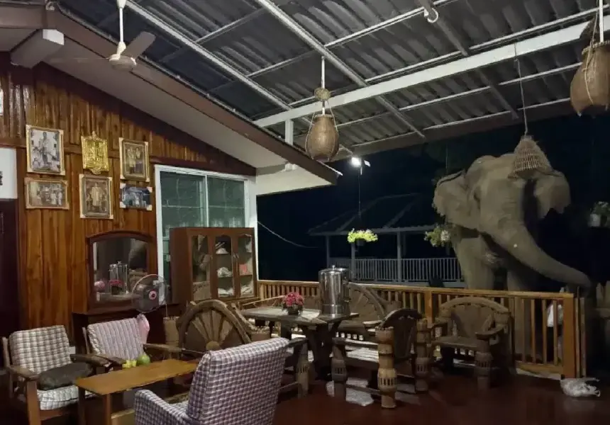 เจ้าของบ้านผงะ เจอช้างป่าบุกเข้าครัวกลางดึกที่ฉะเชิงเทรา