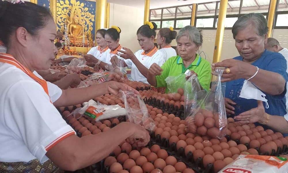 ราคาไข่ไก่ขยับขึ้น 20 สตางค์ต่อฟอง หลังต้นทุนสูงและอากาศร้อนทำผลผลิตลด