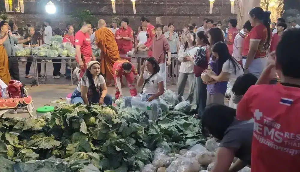 เกษตรกรเชียงใหม่ได้รับการสนับสนุนหลังราคาผักตกต่ำ