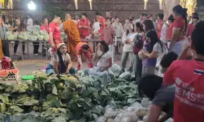 เกษตรกรเชียงใหม่ได้รับการสนับสนุนหลังราคาผักตกต่ำ