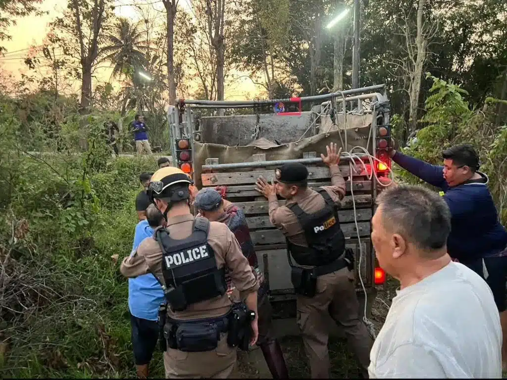ตำรวจเชียงใหม่ช่วยเหลือควายตัวหนึ่งที่กำลังจะถูกฆ่าเพื่อใช้ในงานเลี้ยงศพ