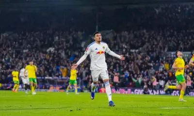 ลีดส์ พบ นอริชซิตี