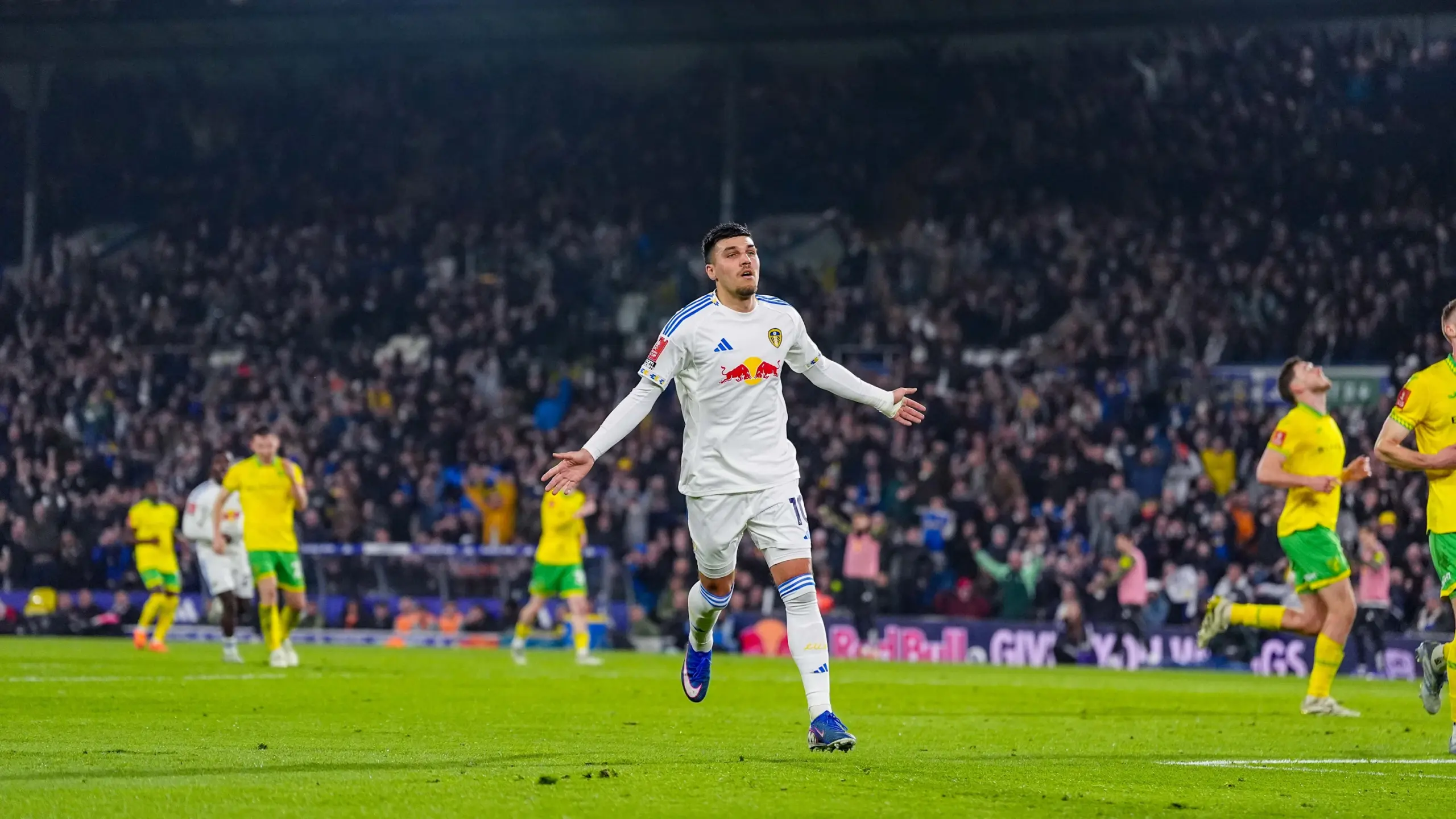 ลีดส์ พบ นอริชซิตี