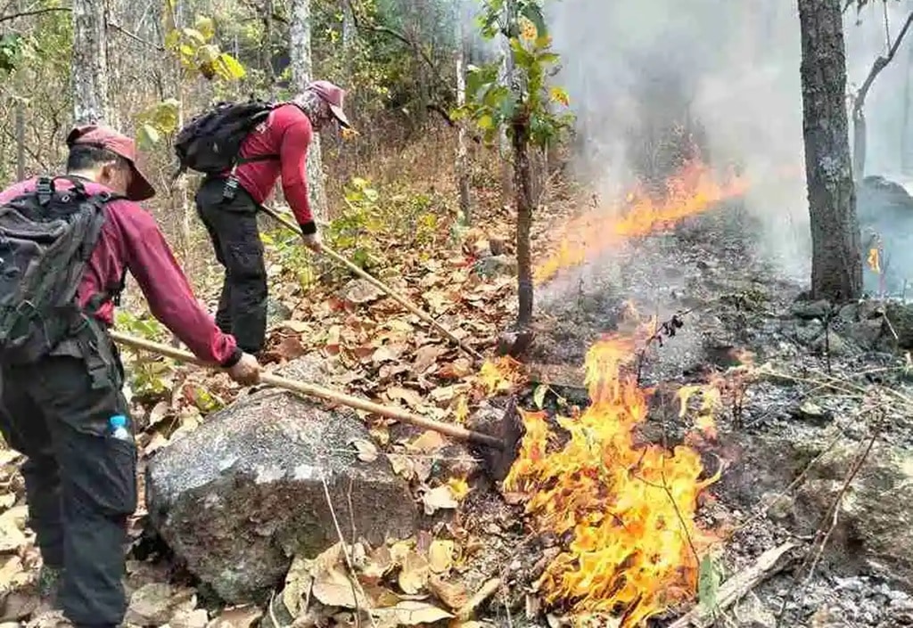 เจ้าหน้าที่เร่งคุมไฟป่าเชียงรายและพะเยา หลังจุดความร้อนพุ่งช่วงต้นหน้าแล้ง