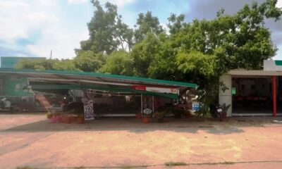 การตัดแต่งต้นไม้ผิดพลาดอย่างร้ายแรง ส่งผลให้หลังคาตลาดในจังหวัดพะเยาพังเสียหาย
