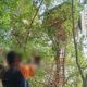 ตำรวจพบมือสังหารรับจ้างซ่อนตัวอยู่ในบ้านต้นไม้