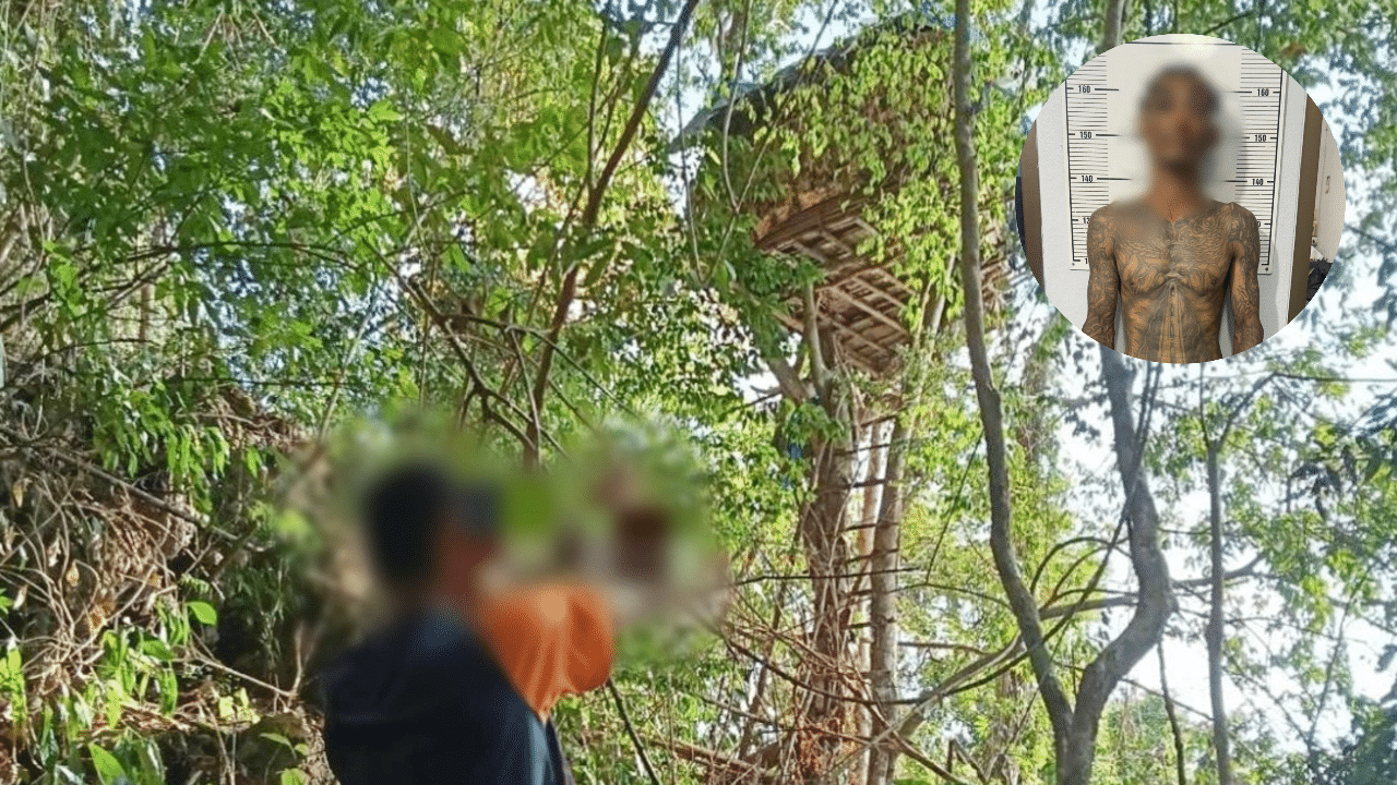 ตำรวจพบมือสังหารรับจ้างซ่อนตัวอยู่ในบ้านต้นไม้