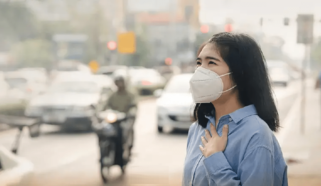 ฝุ่น PM2.5 ทำลายสมองไทย