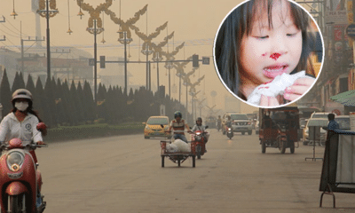 คุณภาพอากาศเชียงรายอยู่ในระดับอันตราย เด็กหลายคนมีเลือดกำเดาไหล