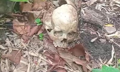 ตำรวจกำลังค้นหาเบาะแสหลังพบกะโหลกศีรษะหญิงสาวในป่า