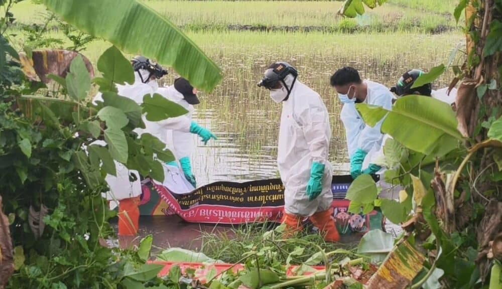 ตำรวจใช้รอยสักเพื่อระบุตัวตนศพที่เน่าเปื่อยซึ่งพบในนาข้าว