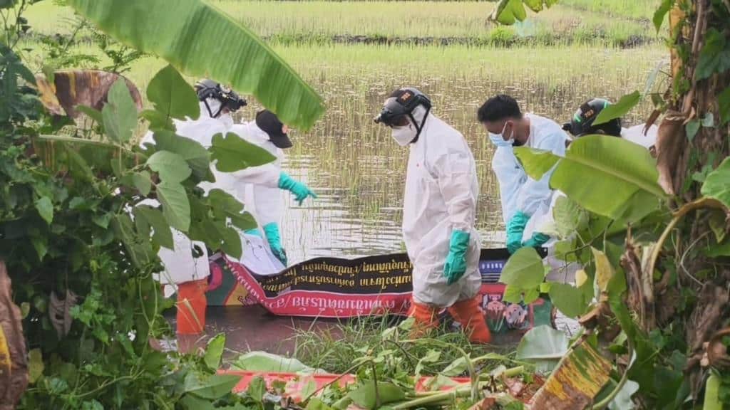 ตำรวจใช้รอยสักเพื่อระบุตัวตนศพที่เน่าเปื่อยซึ่งพบในนาข้าว