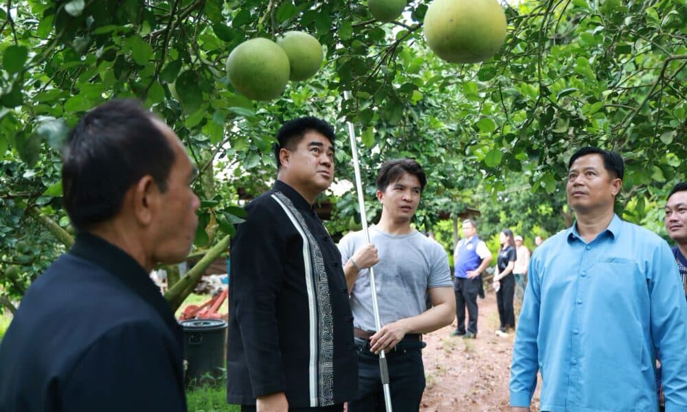 ผู้ว่าราชการจังหวัดเชียงรายช่วยส่งเสริมส้มโอเวียงแก่น: ดาวเด่นด้านการส่งออกระดับโลกดวงใหม่