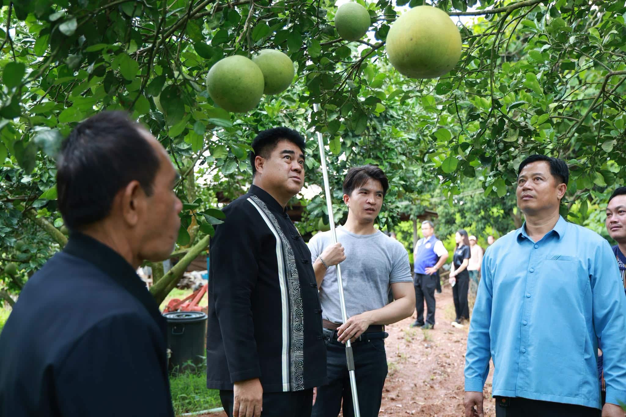 ผู้ว่าราชการจังหวัดเชียงรายช่วยส่งเสริมส้มโอเวียงแก่น: ดาวเด่นด้านการส่งออกระดับโลกดวงใหม่