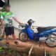 เด็กชายอายุ 16 ปี ถูกจับกุมในข้อหาขโมยรถจักรยานยนต์ช่วงดึกในเชียงแสน จังหวัดเชียงราย