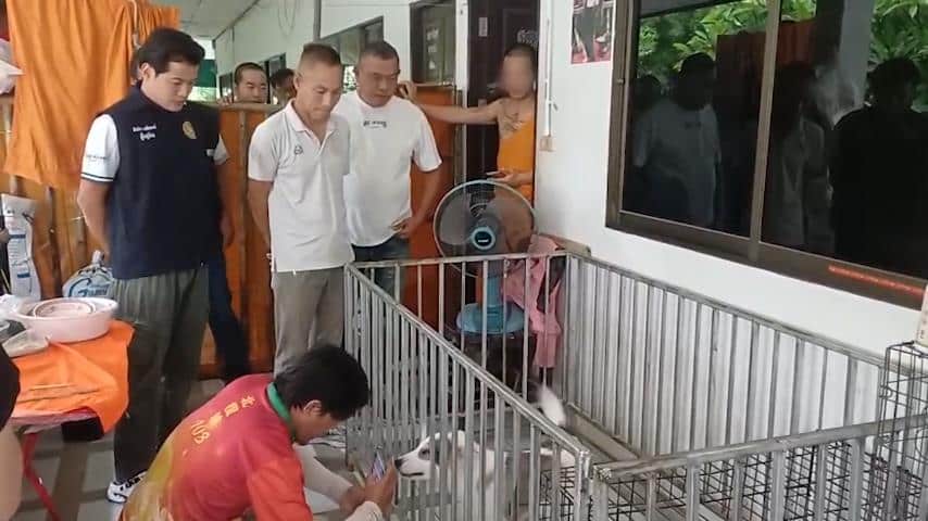 พระภิกษุรูปหนึ่งถูกปลดจากตำแหน่งและถูกจับกุมหลังก่อเหตุทารุณกรรมลูกสุนัขอย่างน่าตกใจ