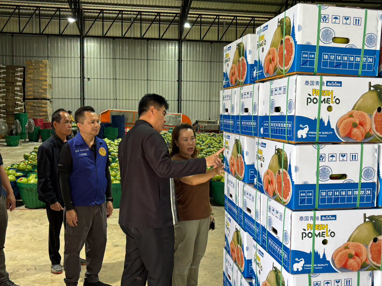 ผู้ว่าราชการจังหวัดเชียงรายช่วยส่งเสริมส้มโอเวียงแก่น: ดาวเด่นด้านการส่งออกระดับโลกดวงใหม่