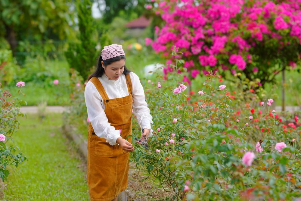 หญิงชาวเชียงรายเปลี่ยนกุหลาบให้กลายเป็นอาณาจักรฟาร์มเกษตรอินทรีย์ของตัวเอง