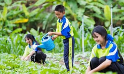 โรงเรียนแห่งหนึ่งในพื้นที่ภูเขาห่างไกลของเชียงรายกำลังสอนนักเรียนเกี่ยวกับเกษตรกรรมยั่งยืน