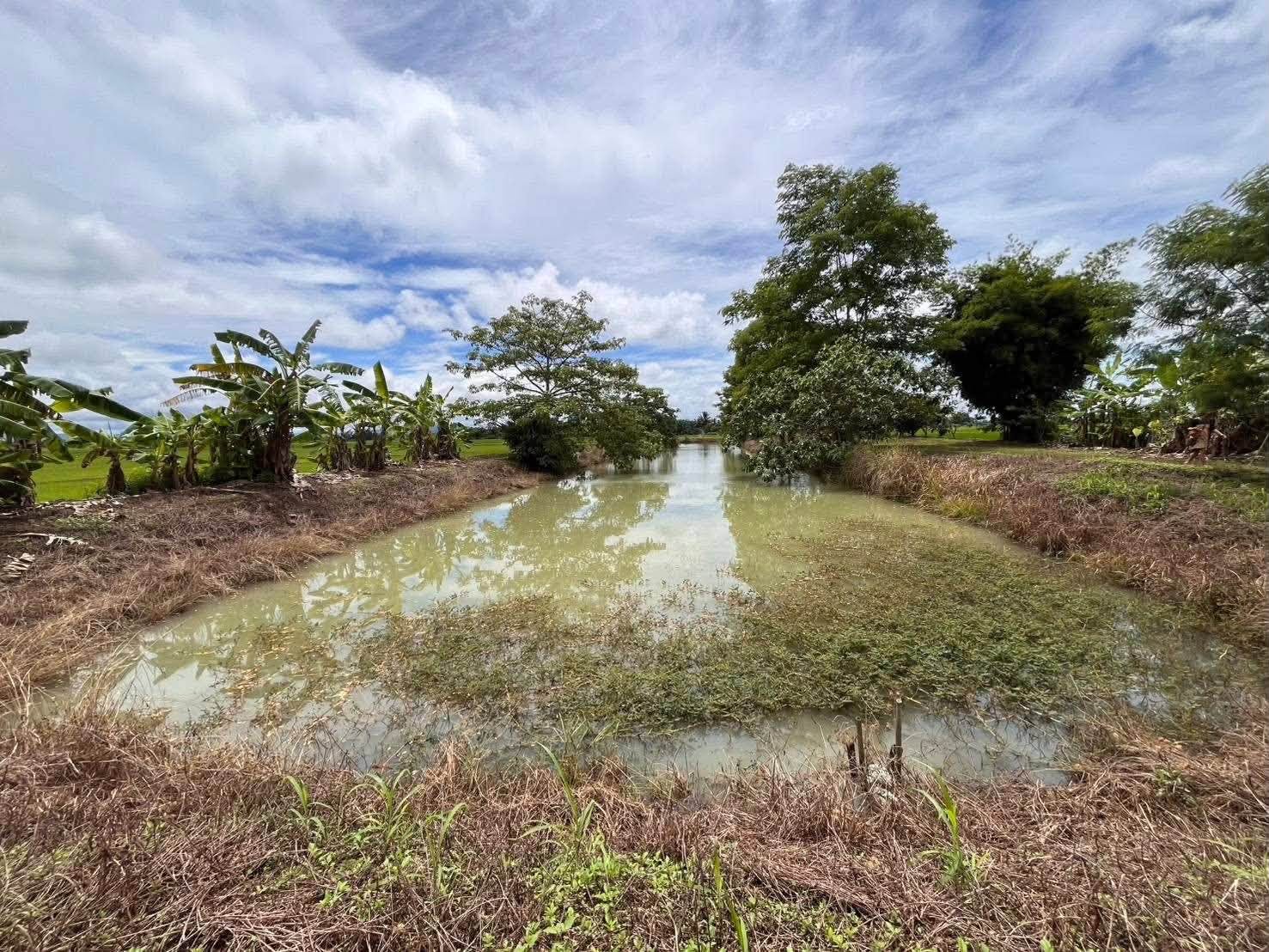 124 สำนักงานส่งเสริมการเกษตรจังหวัดเชียงรายอนุมัติสินเชื่อปลอดดอกเบี้ยเพื่อสนับสนุนเกษตรกรผู้เลี้ยงปลาดุก