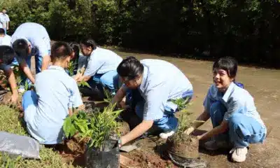เยาวชนเชียงรายเรียนรู้วิธีเปลี่ยนป่าให้เป็นกำแพงป้องกันฝุ่นละออง PM 2.5