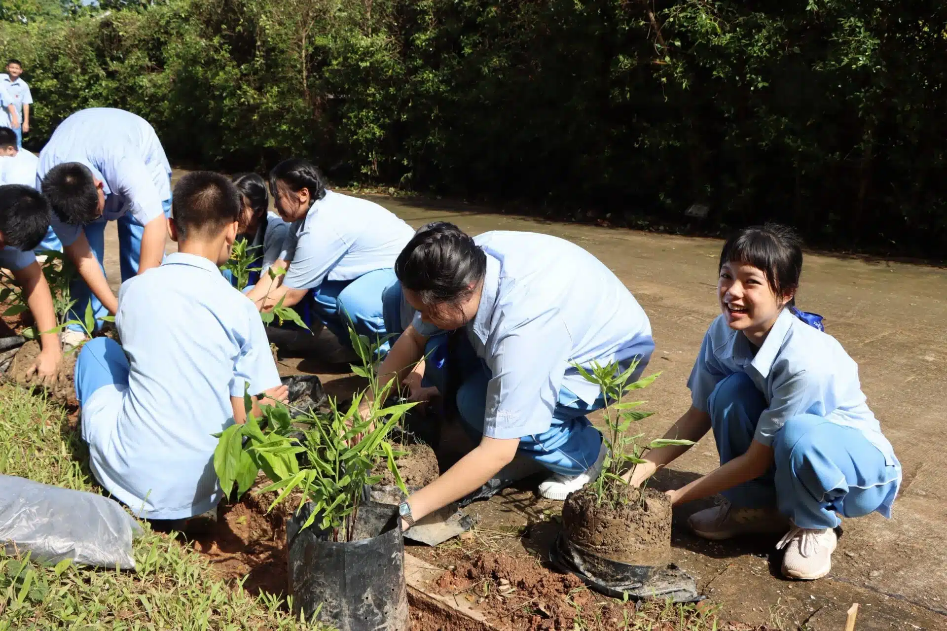 เยาวชนเชียงรายเรียนรู้วิธีเปลี่ยนป่าให้เป็นกำแพงป้องกันฝุ่นละออง PM 2.5