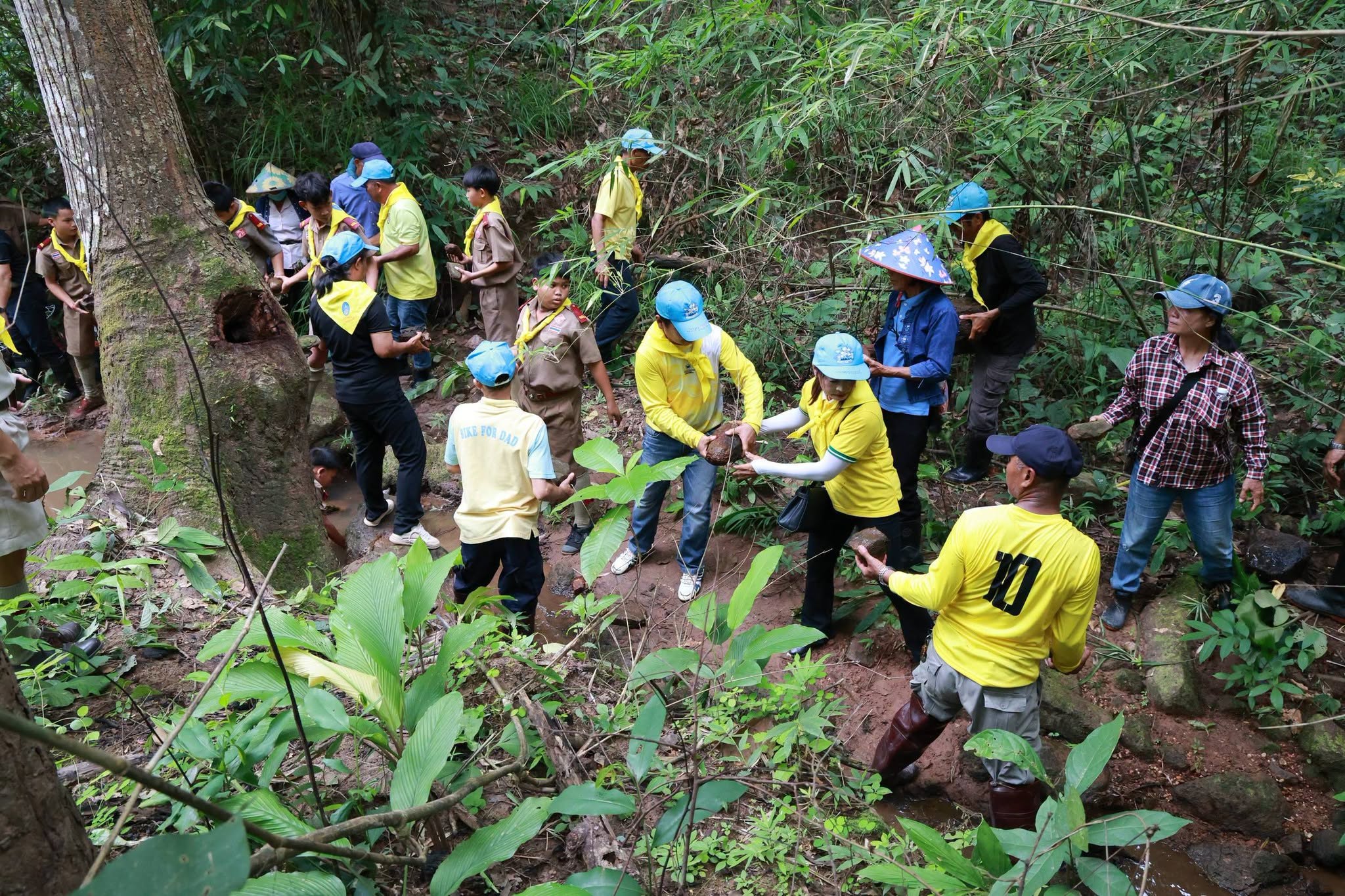 จังหวัดเชียงรายฝึกอบรมเยาวชนกว่า 500 คนเพื่อปกป้องป่าและลุ่มน้ำ