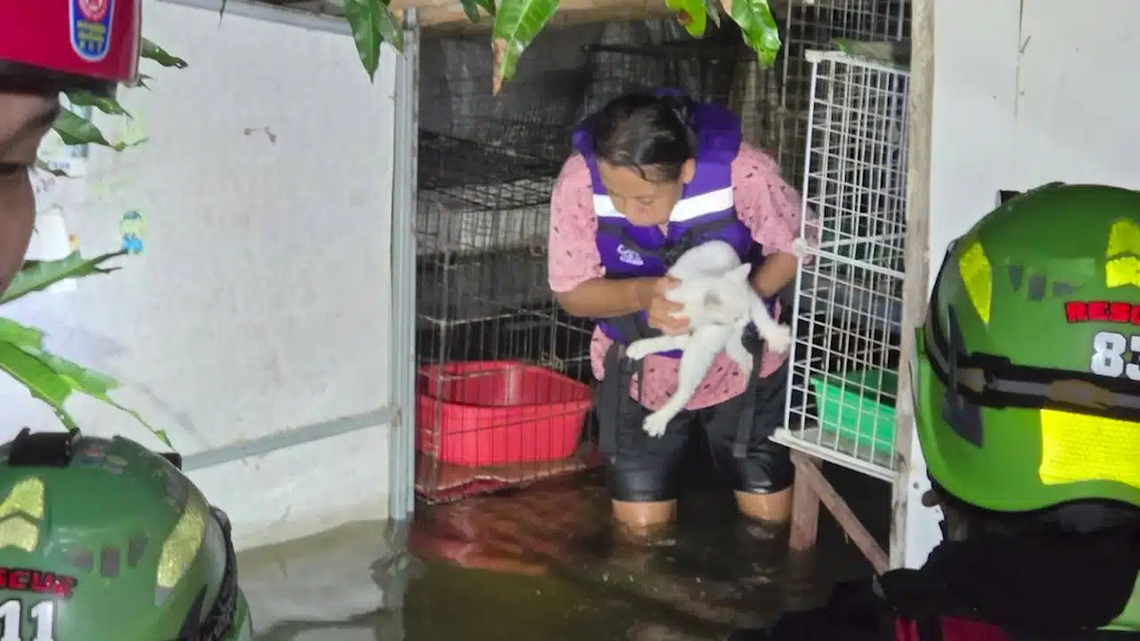 ทีมกู้ภัยฝ่าฟันน้ำท่วม ไฟฟ้าช็อต และปลิง เพื่อช่วยชีวิตหญิงชราที่ป่วยหนัก