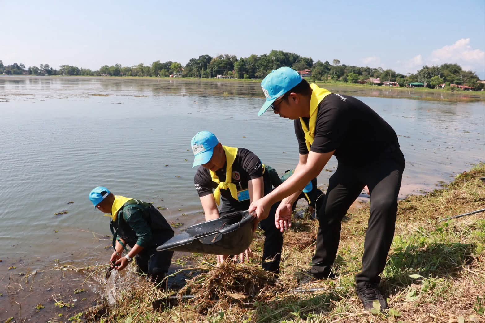 เชียงรายรวมพลังจิตอาสาพัฒนาหนองบัวรับวันนวมินทรมหาราช