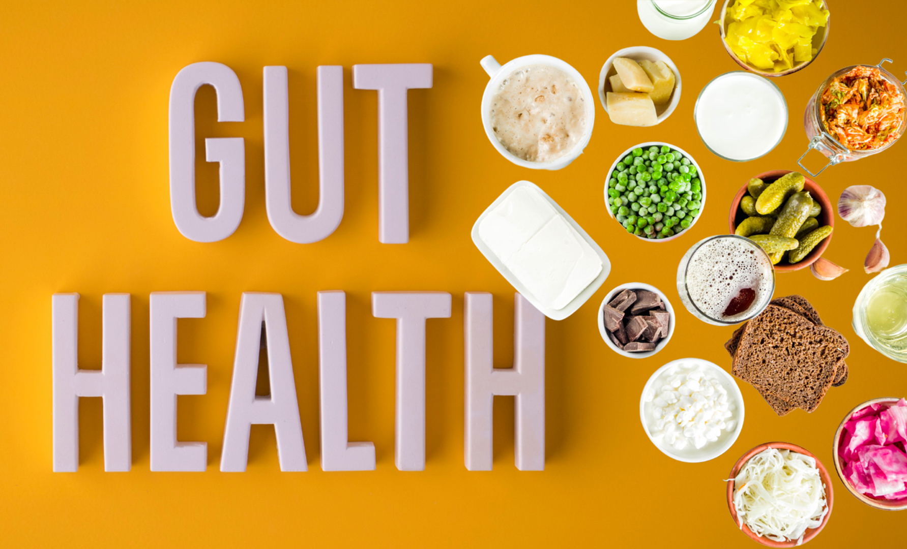 gut health 1