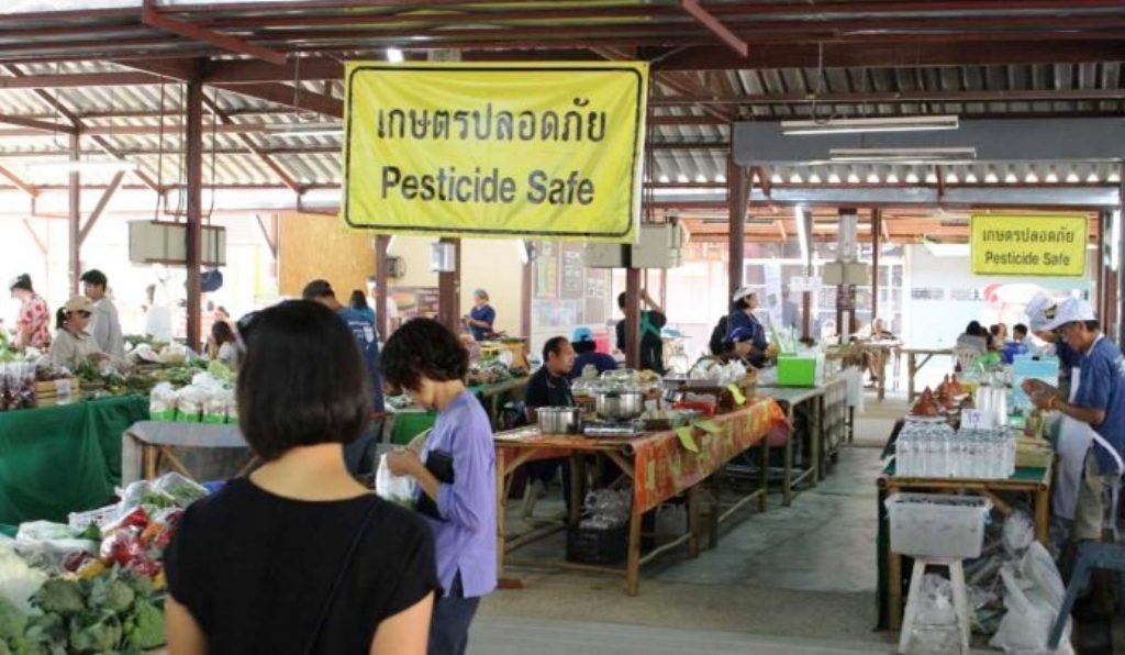 Farming Community Becomes Chemical Free in Northern Thailand