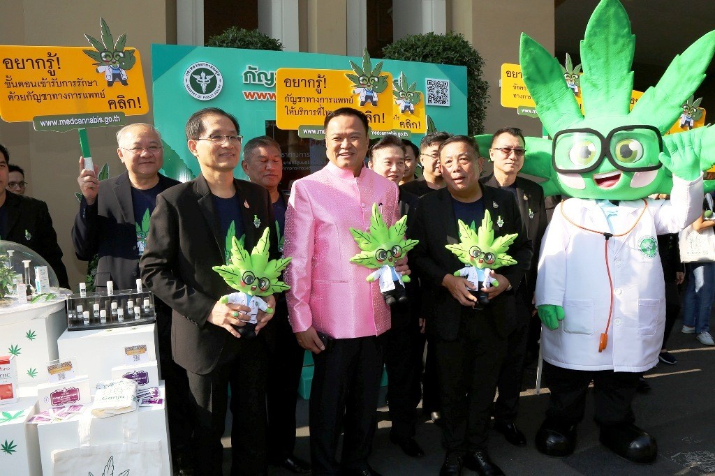 medical cannabis Thailand