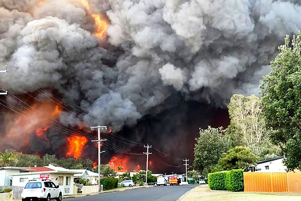 brush firers australia