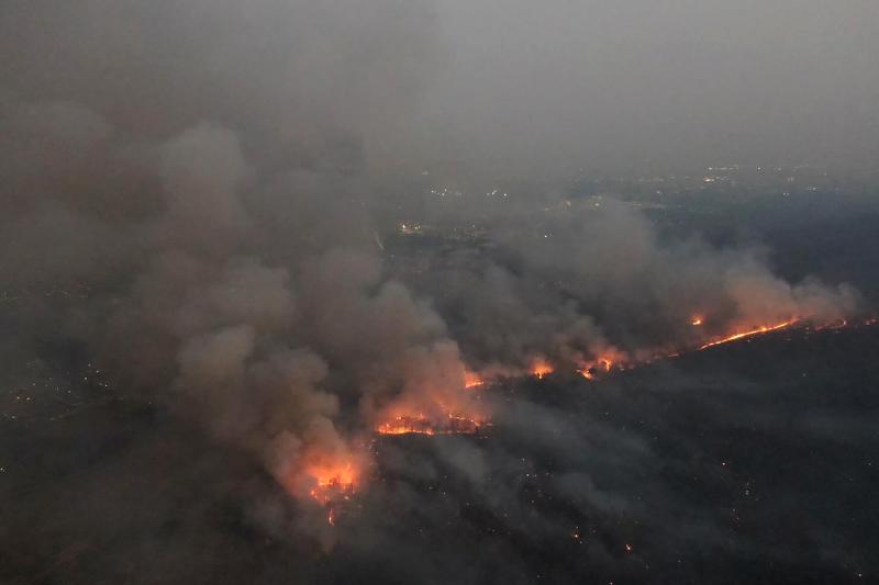 Forest Fires in Northern Thailand The Work of Arsonists